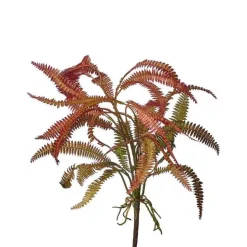 Sprays^Regency Rose Green Feather Fern Plant