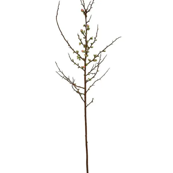 Floral Decor^Winward Salmon Blossom Spray