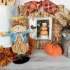 Focal Points^The Round Top Collection Scarecrow Poppet