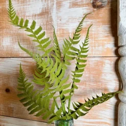 Floral^Liberty Floral Short Fern Spray