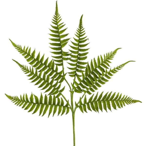 Sprays^Liberty Floral Short Fern Spray