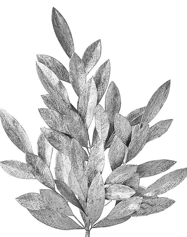 Floral^Regency Silver Clustered Bay Leaf Spray