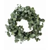 Door Decor^Regency Silver Dollar Eucalyptus Wreath, 24"