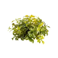 Faux Plants^CRI Small Privet Half Topper