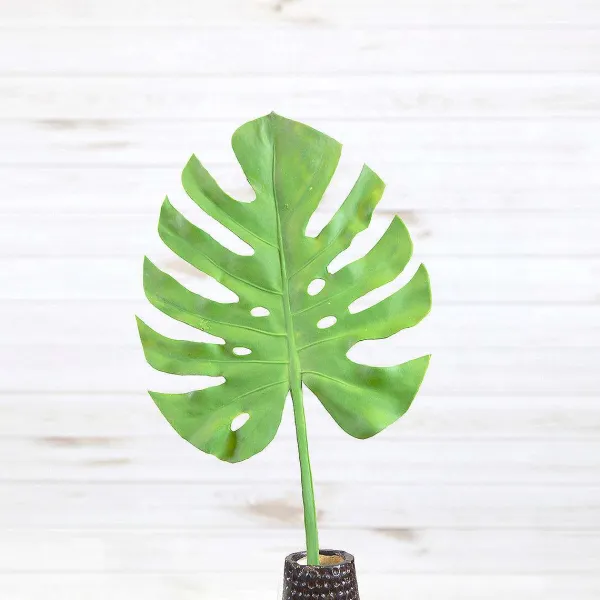 Floral^Liberty Floral Split Philo Leaf Large Stem