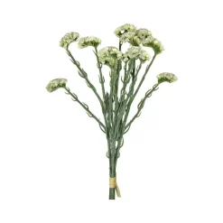 Floral^CRI Statice Cream Bundle