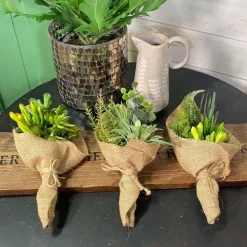 Succulents^CRI Succulent Bouquet Three Piece Set