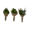 Faux Plants^CRI Succulent Bouquet Three Piece Set