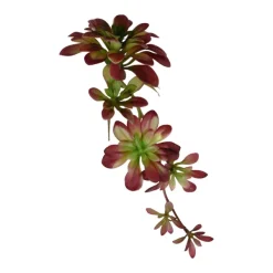 Floral^Direct Export Co. Succulent Hanging Pick