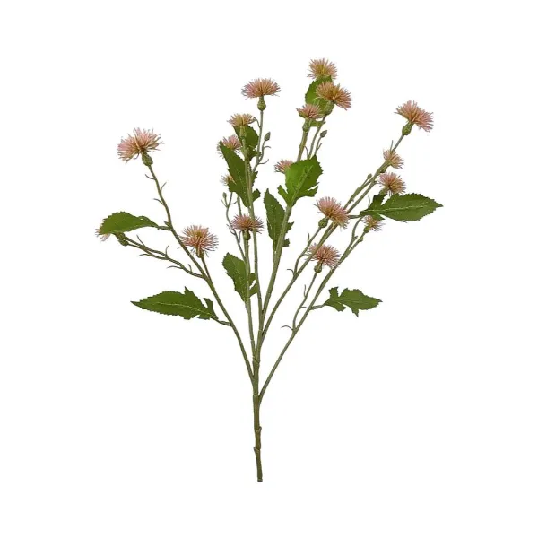 Floral^Liberty Floral Sweet Thistle Spray