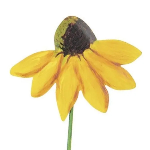 Pot Stakes^The Round Top Collection Texas Wildflowers