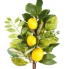 Spring Sprays^CRI Three Lemon Sprig