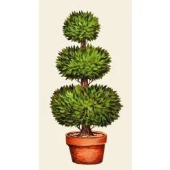 Kitchen & Dining^Hester & Cook Topiary Guest Napkin Set