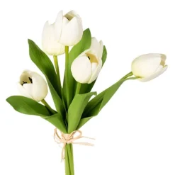 Spring^CRI Tulip Bundle, Cream