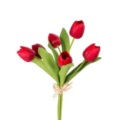 Spring^CRI Tulip Bundle, Red