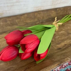 Floral^CRI Tulip Bundle, Red