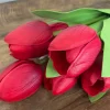 Sprays^CRI Tulip Bundle, Red
