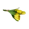 Spring Sprays^CRI Tulip Bundle, Yellow