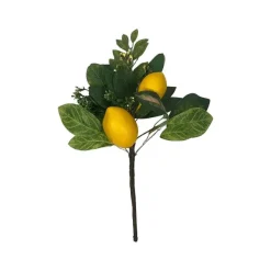 Spring Sprays^CRI Two Lemon Mix Spray