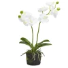 Table Decor^Two's Company White Butterfly Orchid