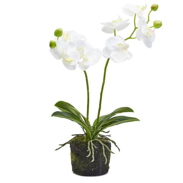 Faux Plants^Two's Company White Butterfly Orchid