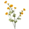 Spring Sprays^CRI Wild Ranunculus Spray