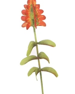 Pot Stakes^The Round Top Collection Wildflower Indian Blanket Stake