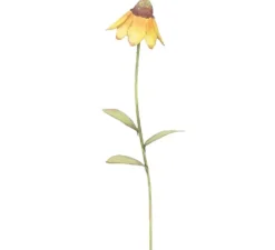 Pot Stakes^The Round Top Collection Wildflower Mexican Hat Flower Stake