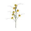 Floral^Liberty Floral Yellow Queen Ann Grass Spray