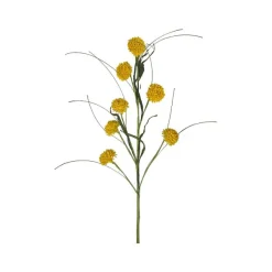 Floral^Liberty Floral Yellow Queen Ann Grass Spray